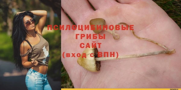 ешки Магас