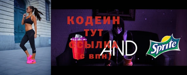 эйфоретик Майский