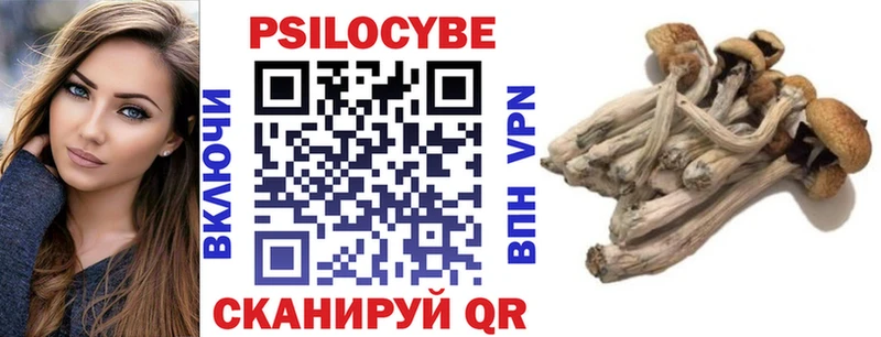 Псилоцибиновые грибы Cubensis  Узловая 