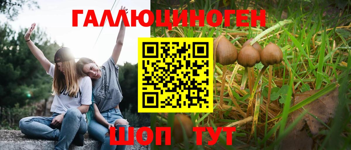 Узловая  Псилоцибиновые грибы Magic Shrooms  Вход с VPN 